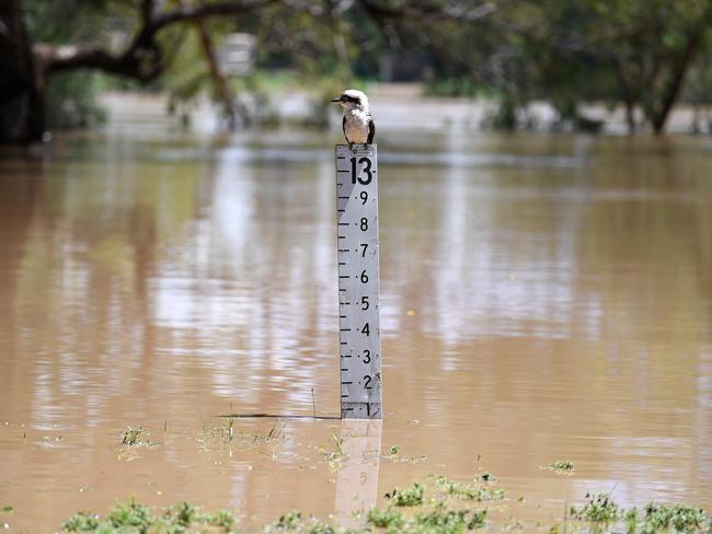 The Balonne river in St George, southwestern Queensland peaked at 12.2 metres, causing local flooding in February last year. Picture: AAP Image/Dan Peled)