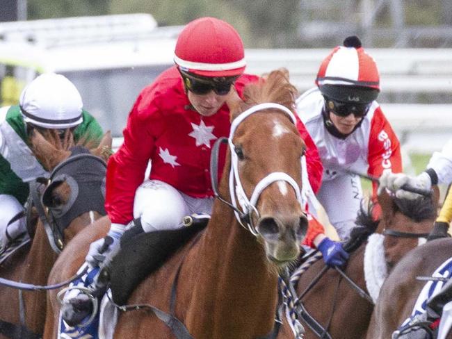 Track ~ MorphettvilleDate ~ 18.07.20Jockey ~ Kayla CrowtherWinner/Horse ~ Instant CelebrityPhoto Credit ~ © Atkins Photography