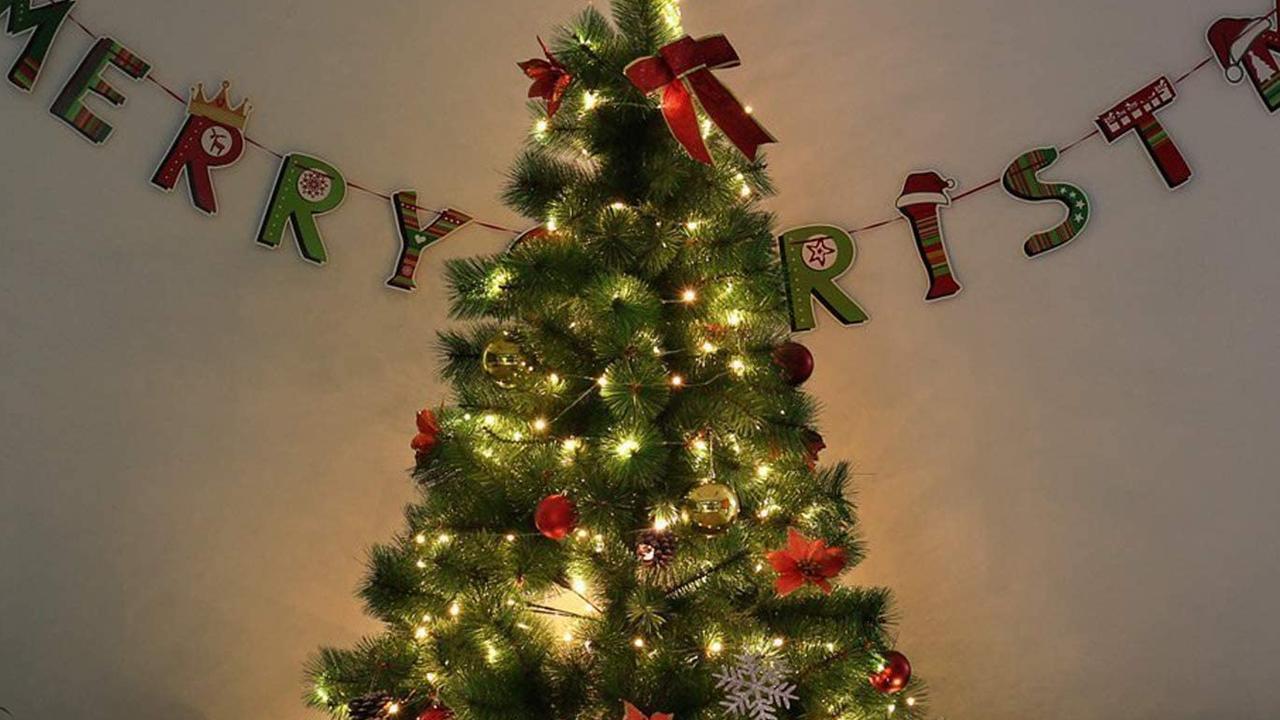 15 Best Christmas Tree Decorations In 2021 | news.com.au — Australia's leading site