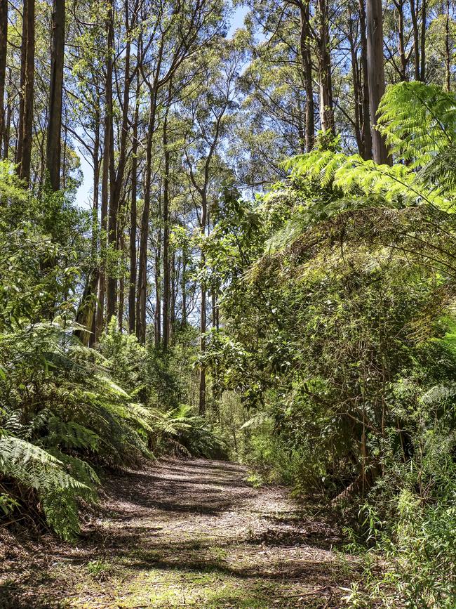 There are forest walks on the property.