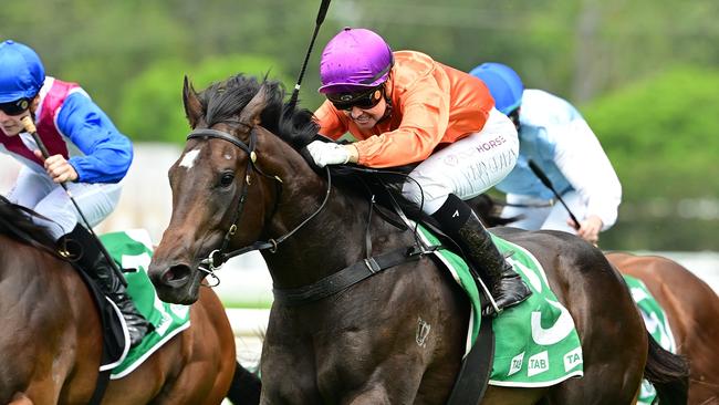 Kelly Schweida's two-year-old colt Grafterburners will line up in the $2m Inglis Millennium at Randwick on Saturday. Picture: Grant Peters, Trackside Photography.