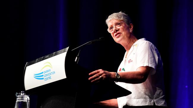 Former NT Chief Minister Clare Martin will be co-chair of Team Territory, along with Dick Guit. Picture: Justin Kennedy