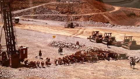 Cattle belonging to the late Mike Walsh were removed from the Dartmouth Dam site for the final time in 1976. Picture: Supplied