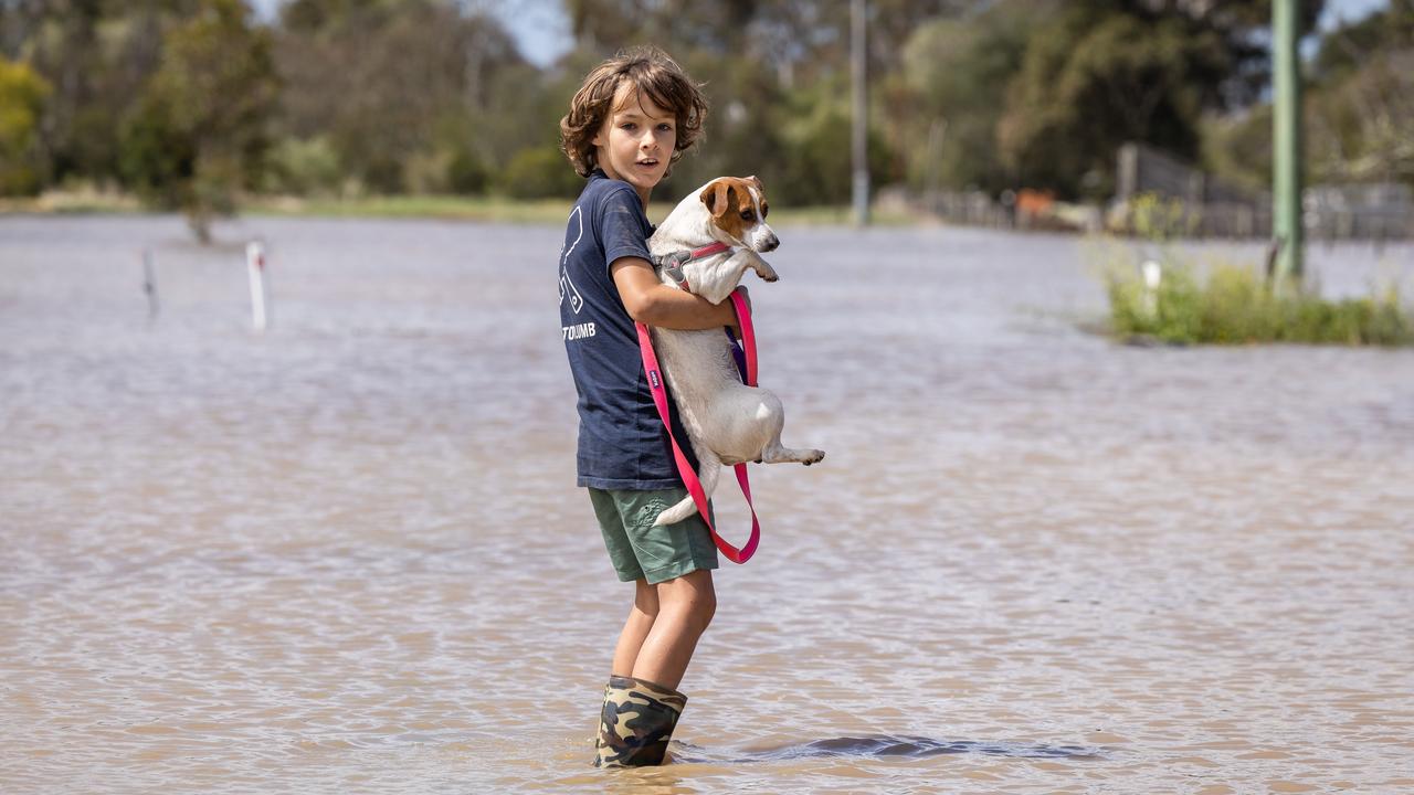 Finn Hutchin, 7 in flood waters around his home in Sale. Picture: Jason Edwards