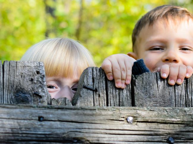 Two children, a little blond girl and boy, standing side by side peeking over an old rustic wooden fence with just their eyes visible