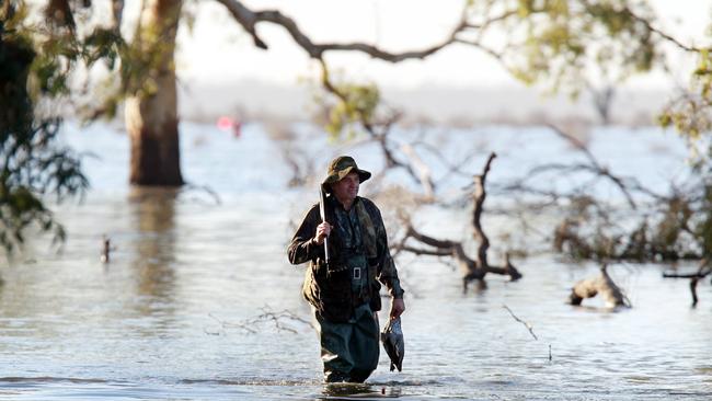 Testing is likely to be based on a mixture of online and practical shooting to ensure duck hunters choose the right ammunition and chokes for their guns, plus took ethical shots of birds no more than 30m away.