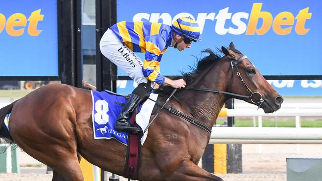 Corner Pocket has won six races in a row. Picture: Racing Photos