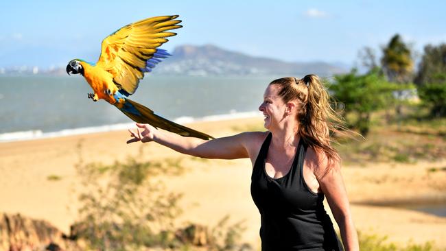 Cherrie Veneman takes her 17 month old Macaw, Blue, down to the Strand and Pallarenda to fly around and say hi to Townsville locals. Picture: Alix Sweeney