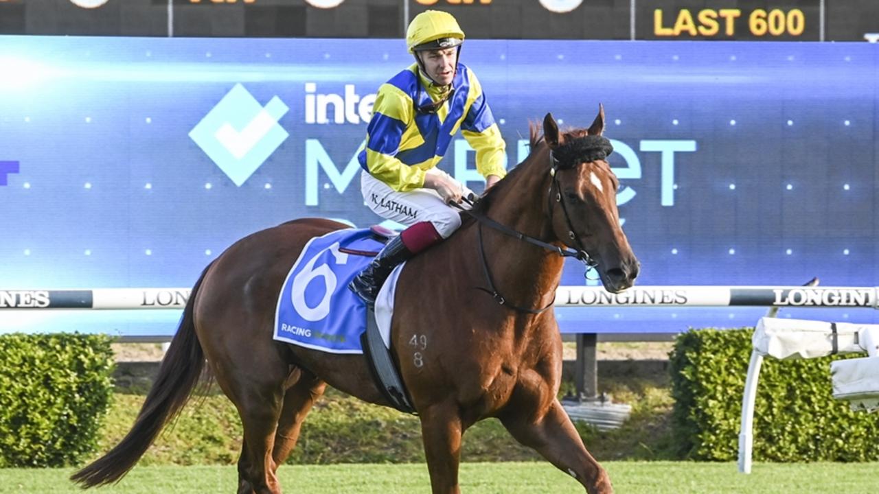 Tympanist has ben trialling well ahead of his race return on Saturday. Picture: Bradley Photos