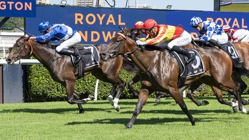 Emery (outside) can break her maiden when she heads to Gosford. Picture: Bradley Photos