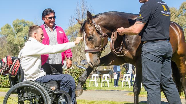 Angland with his mate — TJ Smith-winning ride Trapeze Artist. Picture: Sharon Lee Chapman