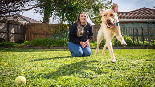 Brie Purukamu and her cheeky Labrador, Max, who recently decided to try and eat a sponge. Picture: Jake Nowakowski