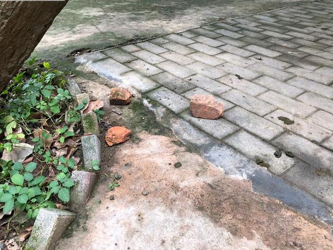 Bricks lying around a path by the enclosure in which the kangaroo was kept.