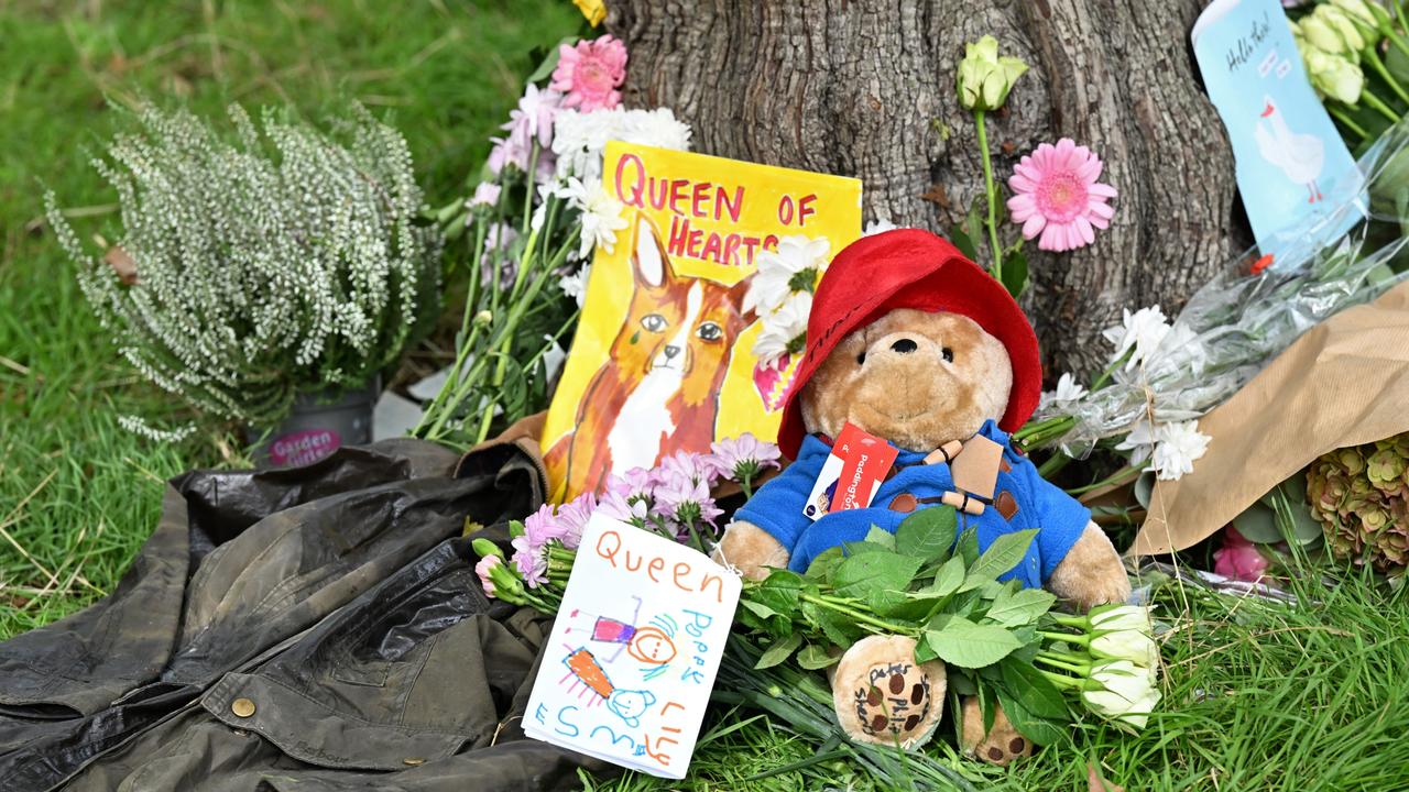 Paddington can be spotted a number of times around Green Park. Picture: Jeff Spicer/Getty Images