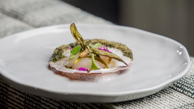 HOTA's new venue,  Palette restaurant. Hervey Bay Scallop.  Picture: Jerad Williams