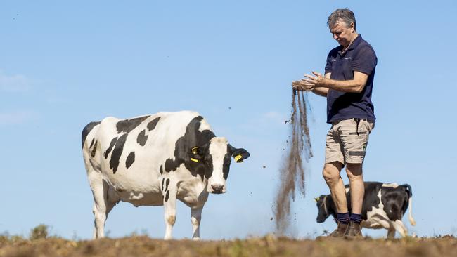 DAIRY: Brendan Rea Chairman WestVic DairyBrendan Rea on his dairy farm at Allansford in drought.