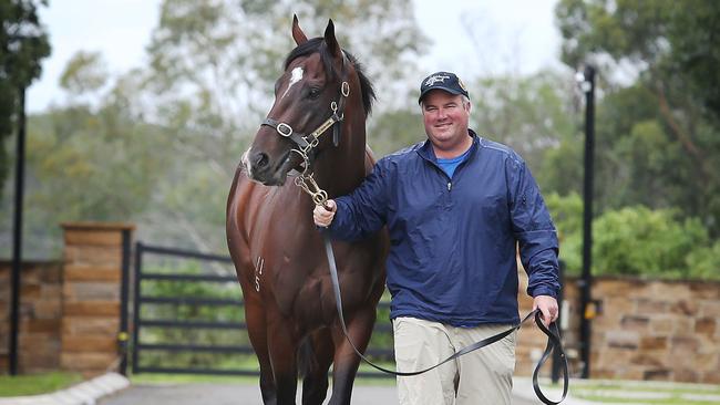 Widdup has four runners engaged at Bathurst.