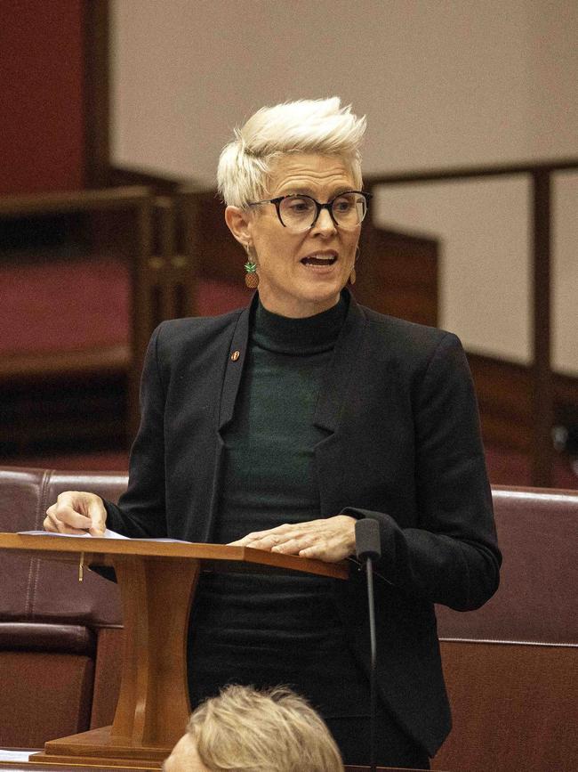 Greens Senator Penny Allman-Payne fronted a Palestine solidarity protest on the Gold Coast. Picture: NCA NewsWire / Gary Ramage