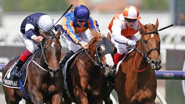 Vow and Declare’s Melbourne Cup victory completed a stunning multibet for one punter.