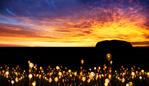 Field of Light, Uluru, Bruce Munro 2016. Picture: Mark Pickthall