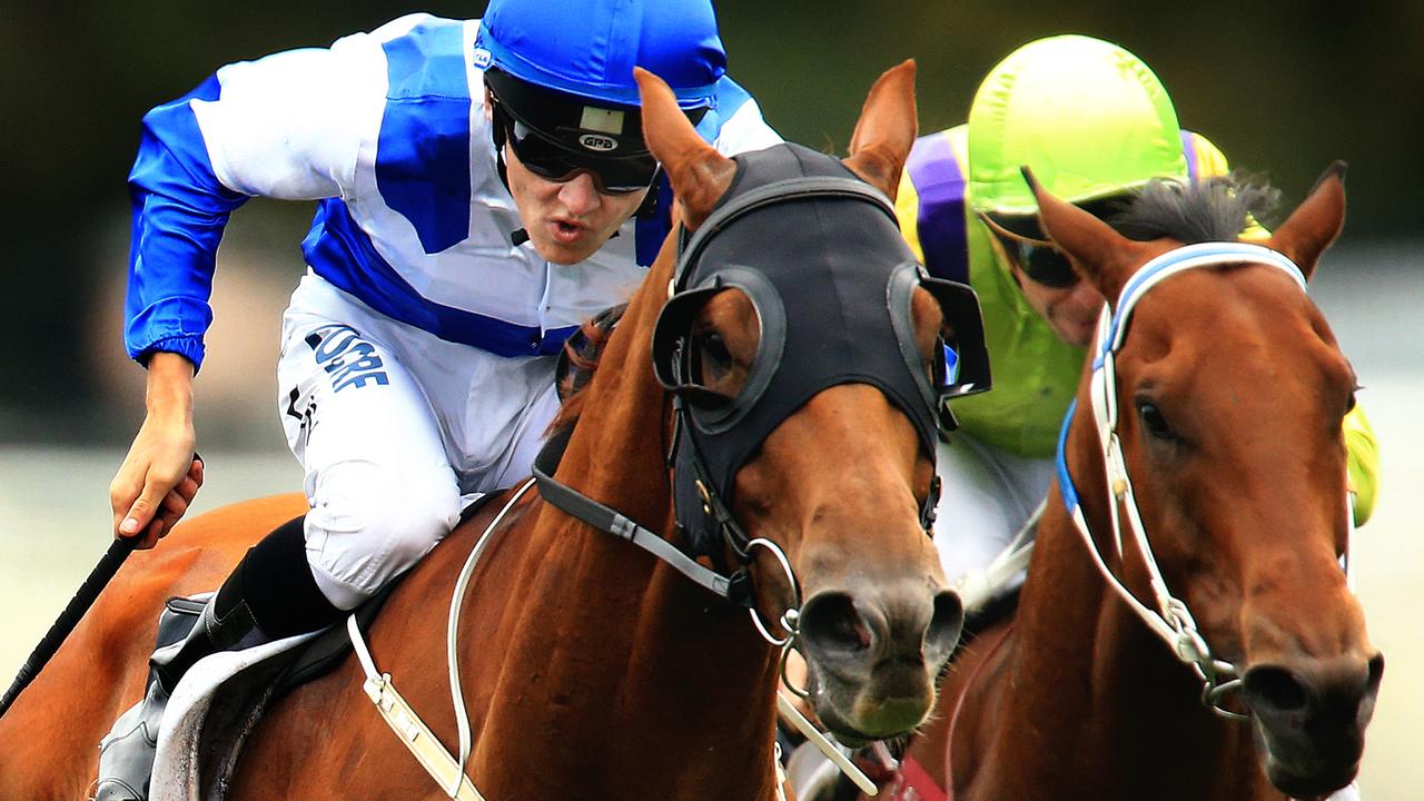 Sense of Occasion ridden by Brodie Loy, wins race 7 during racing from Royal Randwick. pic Mark Evans