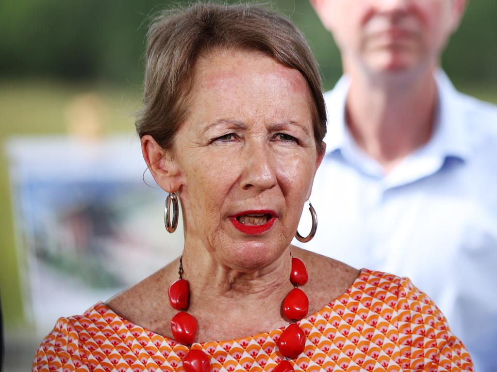 Education Minister Di Farmer has previously said there were various reasons why teachers resigned. Picture Lachie Millard
