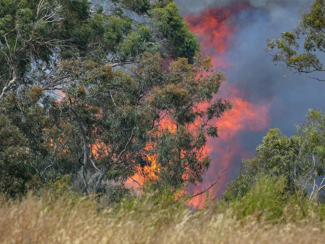 A fire burns through bush behind Zara Close in Bundoora. Picture: Ian Currie