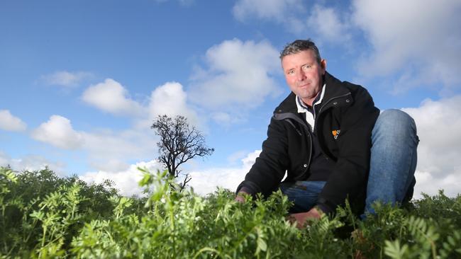 VFF president Brett Hosking says the organisation can always do better defending farmers’ social licence. Picture: Yuri Kouzmin