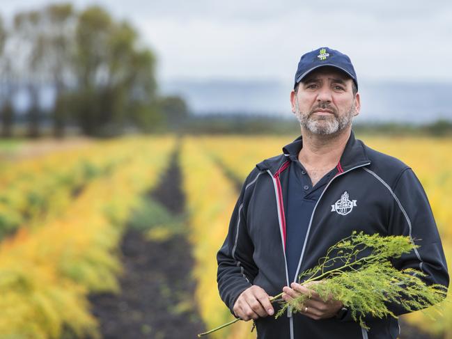 Asparagus is the pick for these spear guns