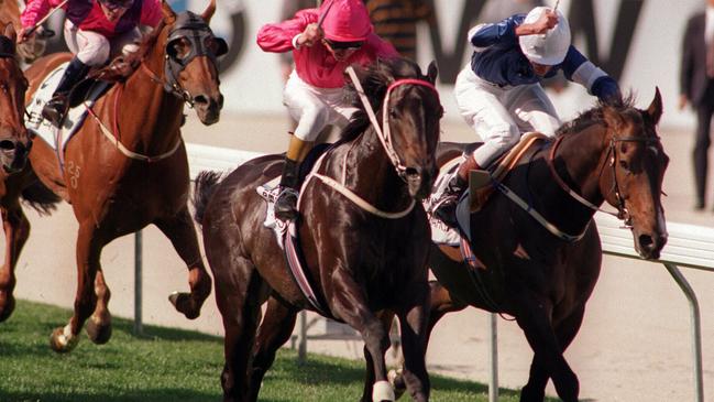 Shane Dye combining with Octagonal to win the 1995 Cox Plate.