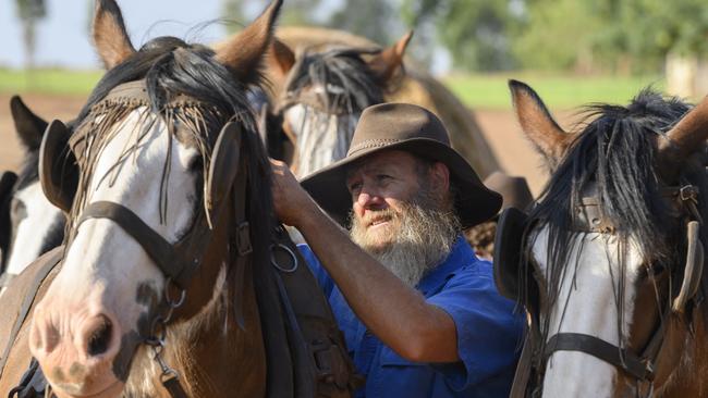 Tending to the draught horses in Barellan.