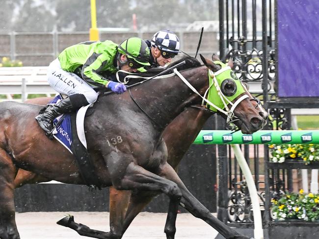 American Wolf (NZ) ridden by John Allen wins the VRC St Leger at Flemington Racecourse on April 25, 2025 in Flemington, Australia. (Photo by Brett Holburt/Racing Photos via Getty Images)