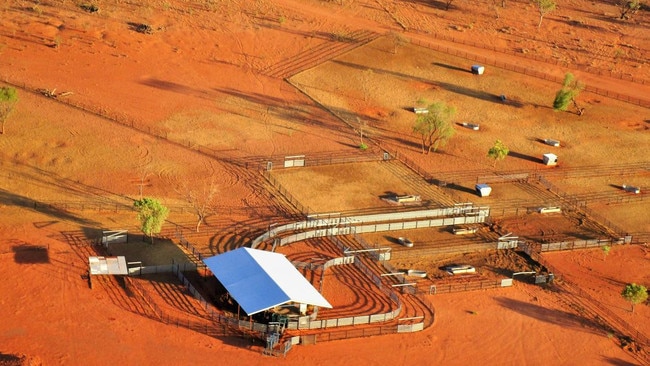 Canada’s PSP Investments, through its Hewitt Cattle Australia business, paid $96m for the adjoining Narwietooma, Napperby, Glen Helen and Derwent stations, totalling 1.1 million hectares in the Northern Territory.