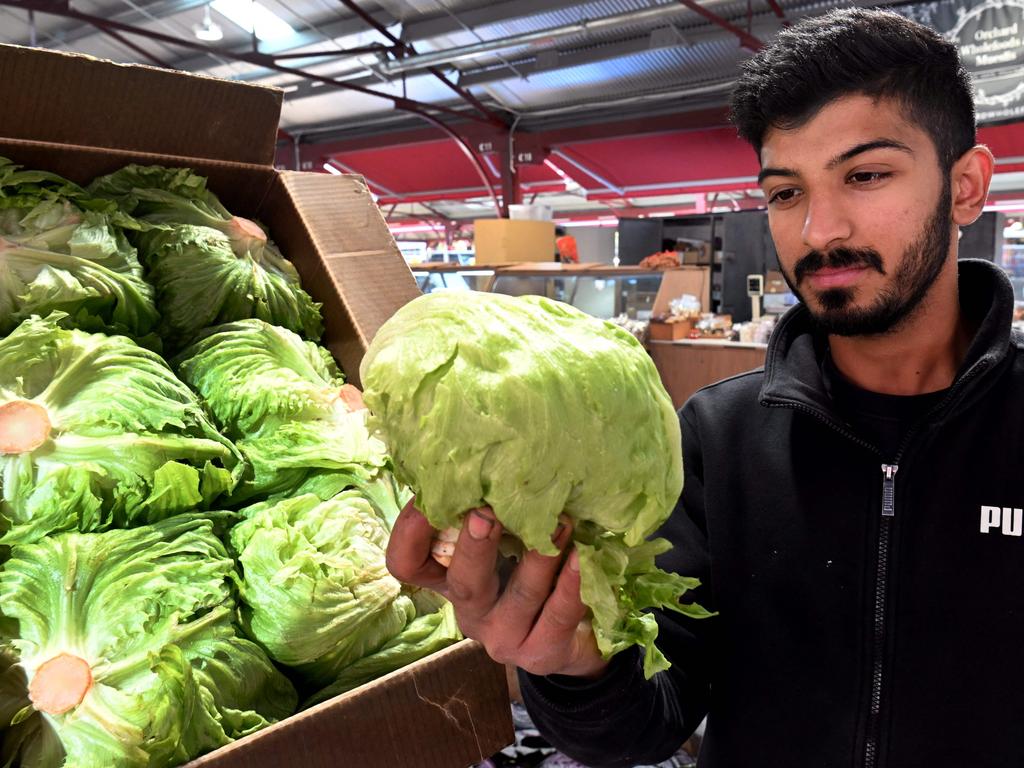 Syed Hyder holds an iceberg lettuce, whose price has soared by as much as 300 per cent in recent months. Picture: William West