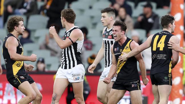 Luke Partington screams in delight after putting Glenelg in front with a last term goal in Sunday’s second semi-final. Port Adelaide went on to win and earn a spot in the grand final. Picture SARAH REED