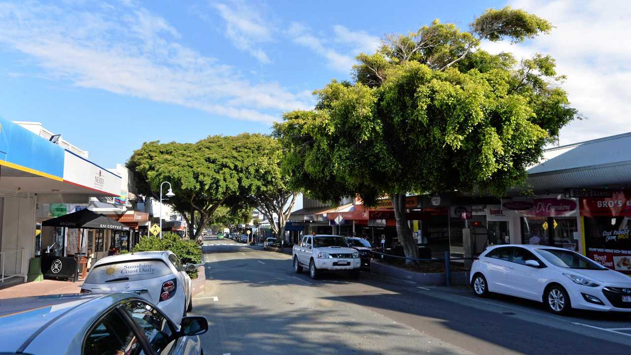 The fig trees that were removed from Bulcock St, Caloundra. Picture: Patrick Woods