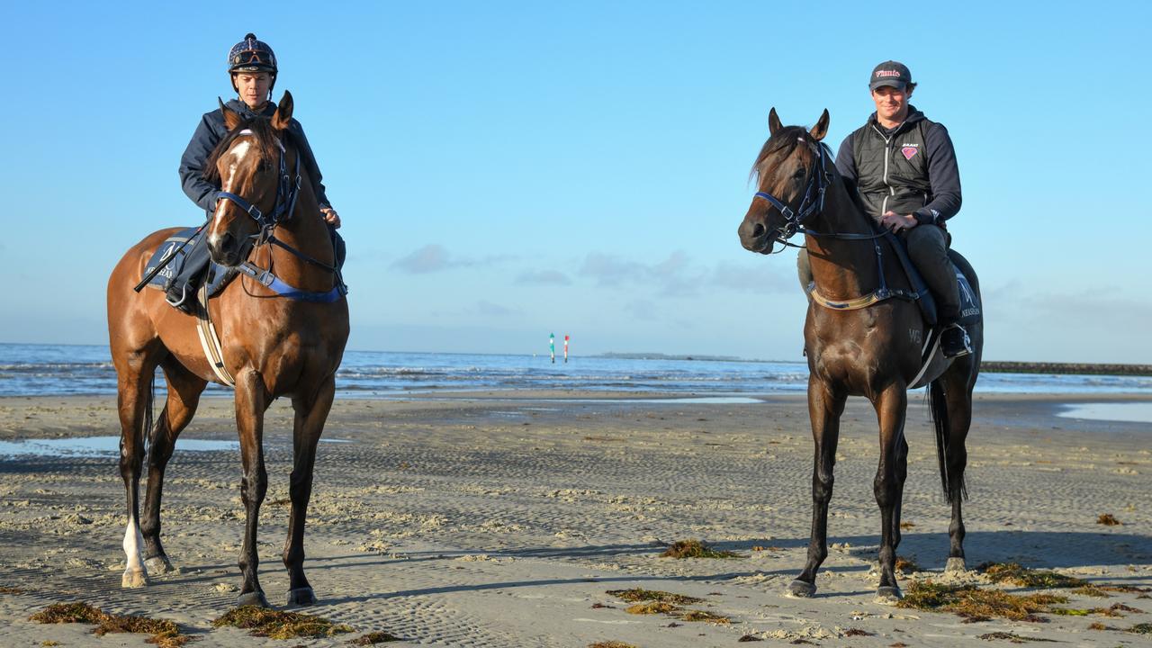 Cox Plate Horses Altona Beach Session