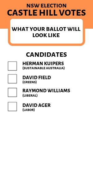What you ballot paper will look like in Castle Hill.
