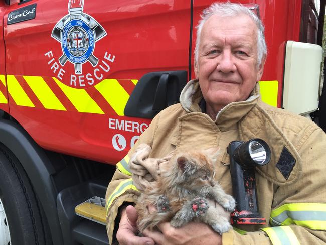 Fireys rescued this cat from a fire. Picture: Supplied