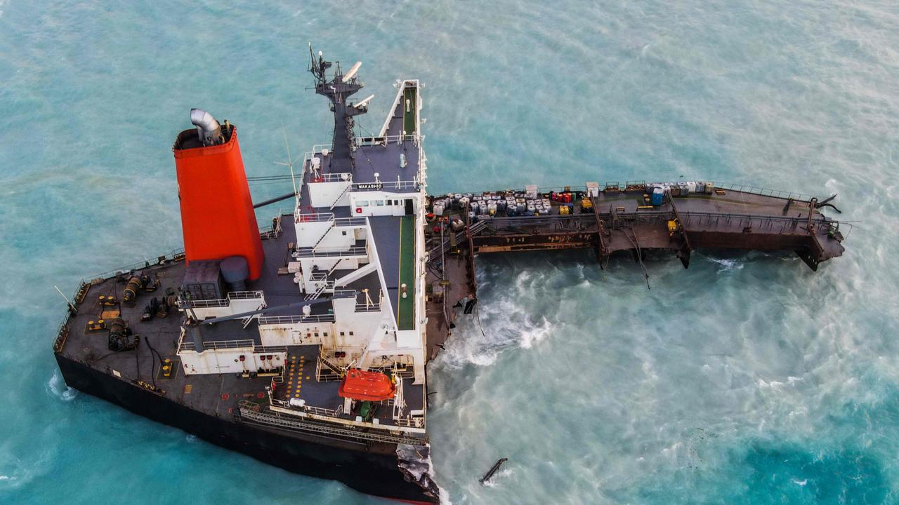 Local government officials weren’t ready to say the dolphins died because of the ship that broke in half and began leaking oil into their habitat. Picture: AFP