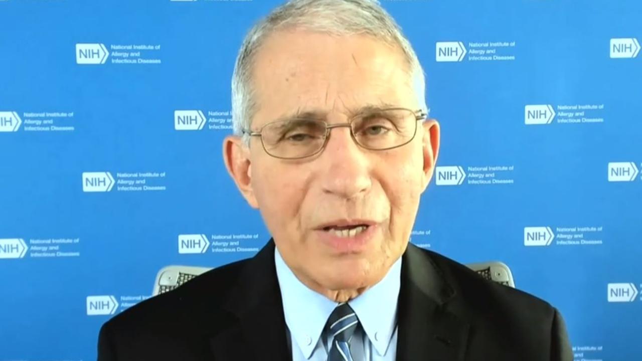 Dr Anthony Fauci. Picture: ABC/7.30