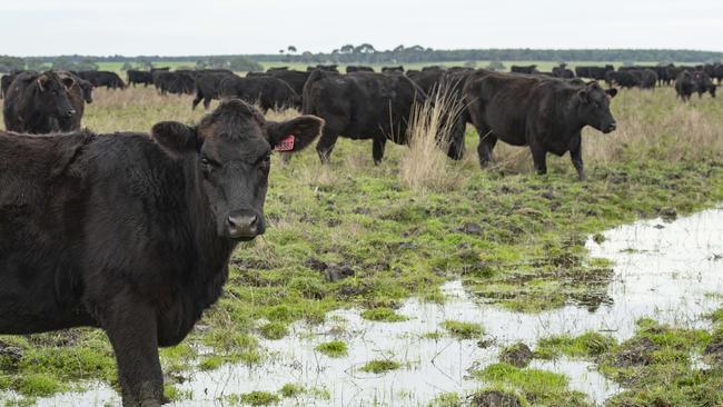 Paddocks in Victoria’s west are sodden after June rain.