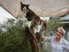 New cutting edge home pets love