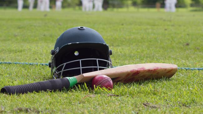 Cricket helmet generic.