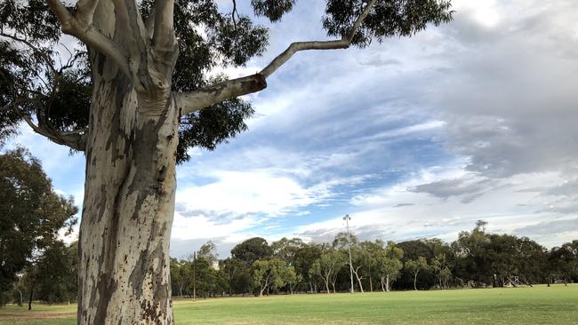 Park 2 or Pardipardinyilla in the northern Adelaide Parklands. Picture: Eugene Boisvert