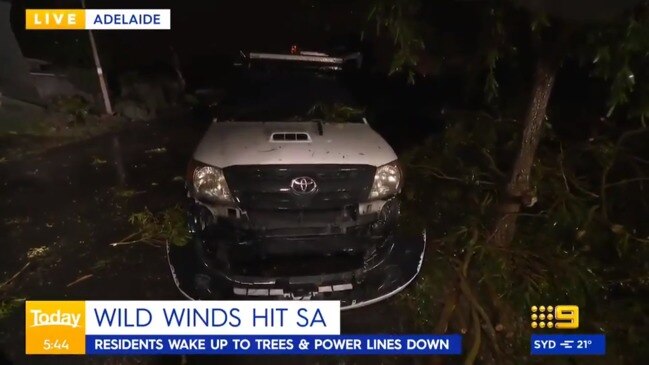 Wild winds damage parts of South Australia (9 News)