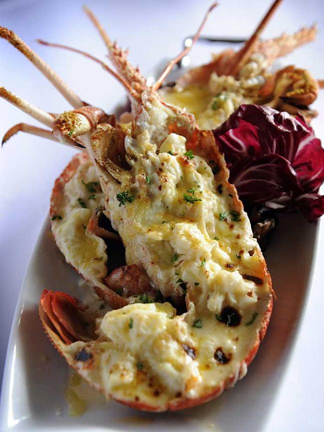 Lobster thermidor from Zigi Zaga in Nairne.