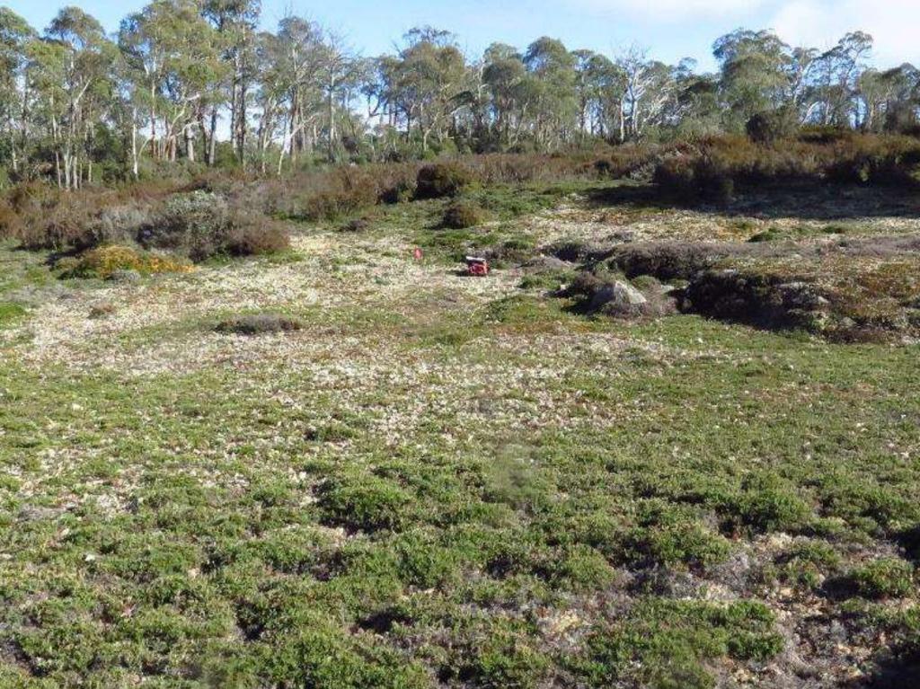 Lake Malbena helipad site