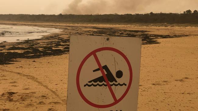 Beaches were closed at various times during the bushfires, but most are returning to their brilliant best.