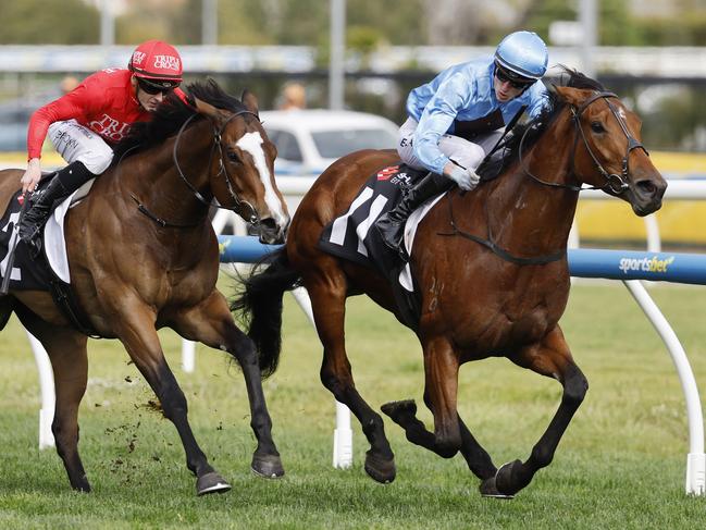 NCA. MELBOURNE, AUSTRALIA. October 19 , 2024. HORSE RACING. Caulfield Cup Day races at Caulfield Racecourse, Melbourne.   Race 8. The Tristarc Stakes.  Lady in Pink ridden by Ben Allen holds off Revolutionary Miss to win the Tristarc Stakes   .  Pic : Michael Klein
